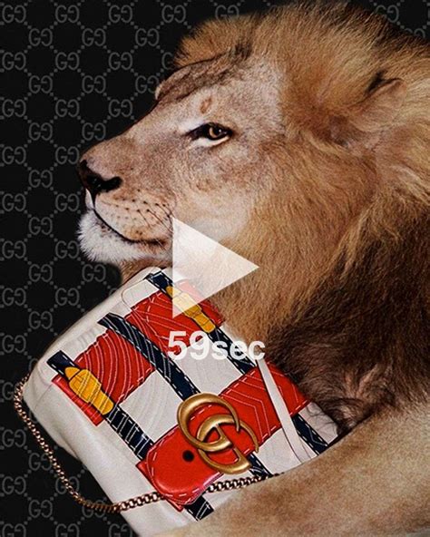 does gucci test on animals|is gucci animal friendly.